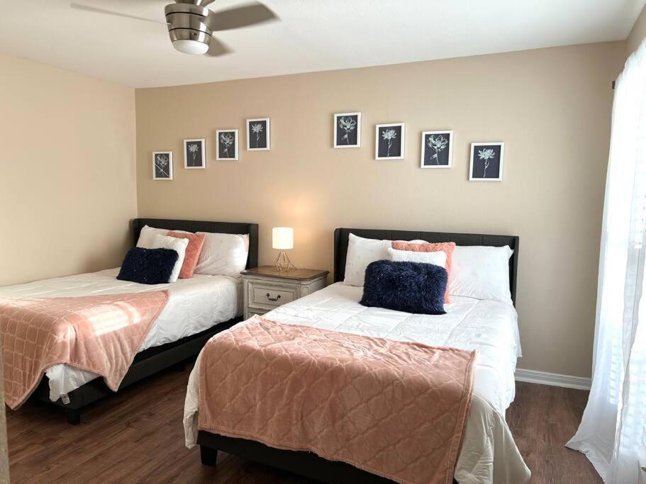 Lovely 2 Bedroom/2 Bath Houston, Heights/Galleria Exterior foto